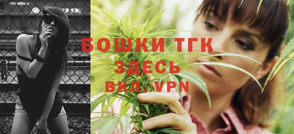 прущие грибы Белоозёрский