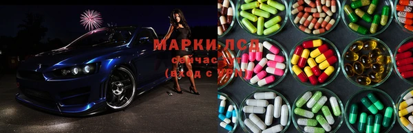 тгк Богданович